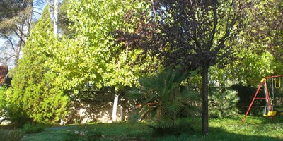 Parte del jardín rodeado de árboles